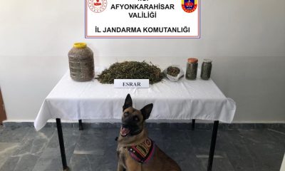 Jandarma 1 kilo 868 gram esrar ele geçirdi