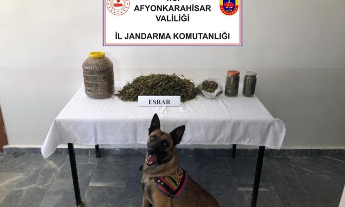 Jandarma 1 kilo 868 gram esrar ele geçirdi