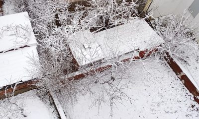 Kar yağışı Bozüyük’te etkili oldu