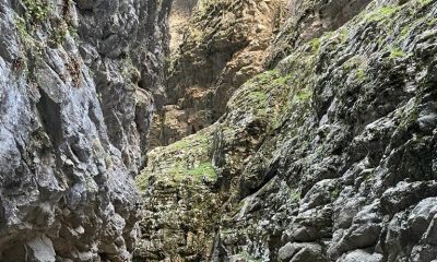 Doğanın eşsiz manzarası müzik eşliğinde sergilendi