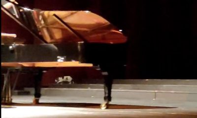 Konser esnasında sahneye çıkan kedi gülümsetti