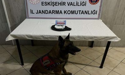 Jandarma ekipleri 12 farklı uyuşturucu madde operasyonu yaptı