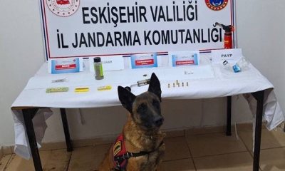 Jandarmadan uyuşturucu madde operasyonu, 1 şüpheli tutuklandı