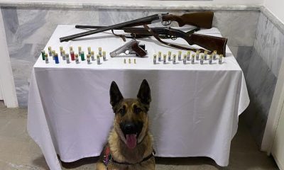 Jandarma yaptığı baskında 3 ruhsatsız silah ele geçirdi