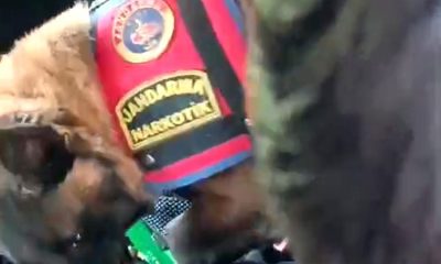 Kütahya’da jandarmanın uyuşturucu operasyonunda 2 kişi tutuklandı
