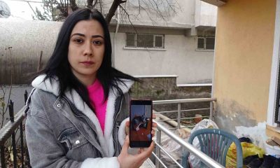 Sahibi ve arkadaşı kayıp kediyi 3 gündür arıyor