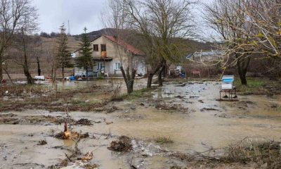 Bilecik’te Karasu Deresi taştı, birçok tarım arazisi ve iki ev su altında kaldı
