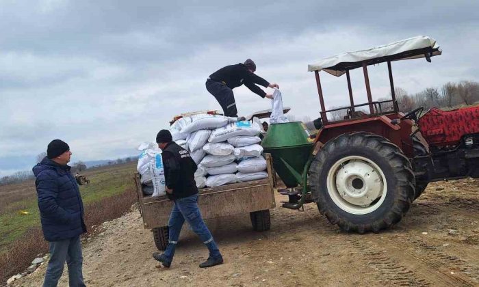 Simav’da bin dekar mera alanında gübreleme çalışması