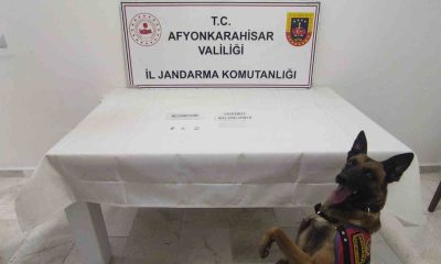 Uyuşturucu kullanan 2 şahıs jandarmanın yol kontrolünde yakalandı