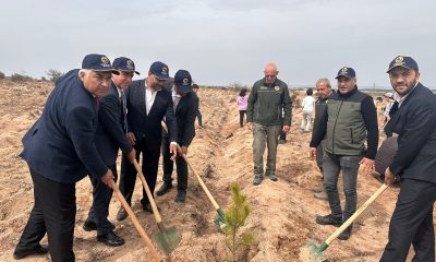 MÜSİAD’dan Fidan Dikim Etkinliği