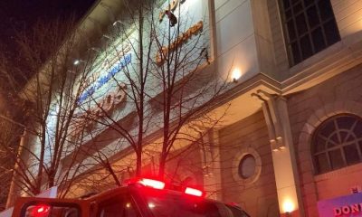 Ağaçta mahsur kalan kediyi itfaiye kurtardı