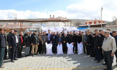Seyitgazi bu sene yerli Azkan nohut tohumu ekecek
