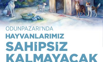 Özkan Alp:Odunpazarı’nda Hayvanlarımız Sahipsiz  Kalmayacak