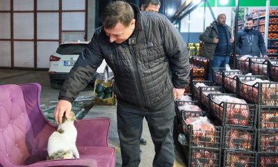 Özkan Alp:Odunpazarı’nda Hayvanlarımız Sahipsiz Kalmayacak (Video Haber)