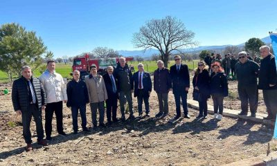 Gediz’de 150 karaçam toprakla buluştu