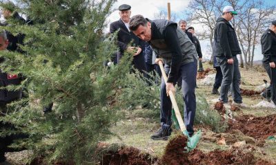 Doğanın akciğeri olan ağaç fidanları toprakla buluştu