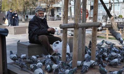Sokaktaki kuşları yıllardır büyük bir özenle besliyor