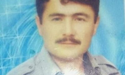 Kesilen kavak ağacının altında kalan kişi hayatını kaybetti