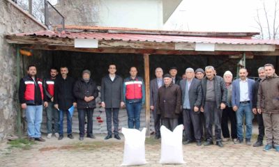 Domaniç’te 43 üreticiye yüzde 50 hibeli 4 bin 350 kilo nohut tohumu dağıtıldı