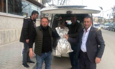 Osmaneli böğürtlenle renklenecek, ekilmedik alan kalmayacak