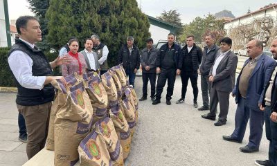 Afyonkarahisar 9 bin 250 gram korunga tohumu dağıtıldı