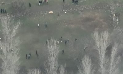 Vahşete jandarma ‘dur’ dedi