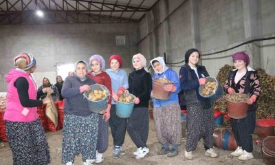 Patates işçisi kadınlar 8 Mart’ı işlerinin başında geçirdi