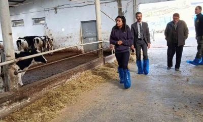 Kaymakam Kılıçtürk, üreticileri ziyaret etti