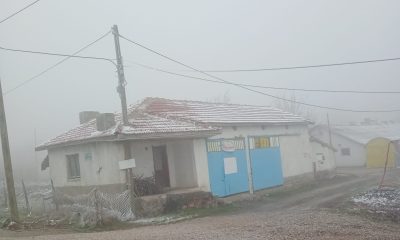 Eskişehir’de sis ve don olayı etkili oldu