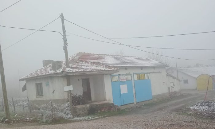 Eskişehir’de sis ve don olayı etkili oldu