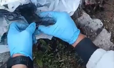 Kütahya ve Afyonkarahisar’da kaçak silah ticareti operasyonu: 6 gözaltı