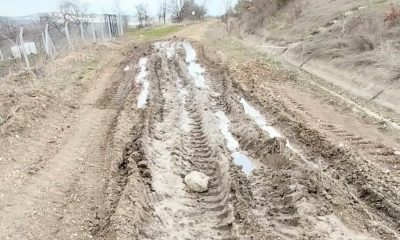 Lavanta üreticisi bozuk olan yolun yapılmasını istiyor