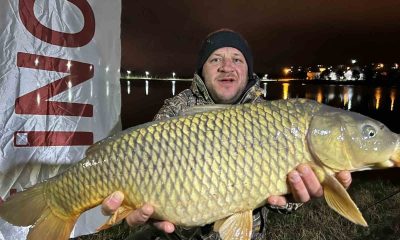 Tuttukları devasal sazanlar görenleri hayrete düşürdü