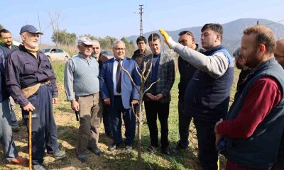 Bilecikli çiftçilere ağaç budama eğitimi verildi