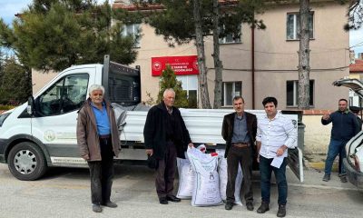 Yüzde 50 hibeli destek ile Han’da nohut üretimi artıyor