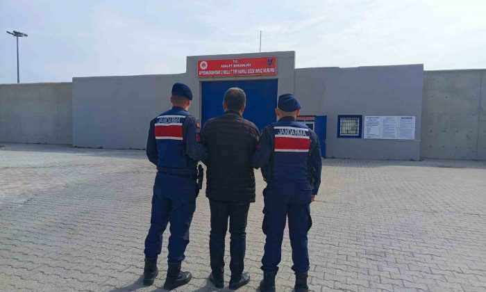 Hırsızlık suçundan aranan şahsı jandarma yakaladı