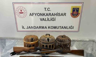 Jandarma kaçak avcıları suçüstü yaptı