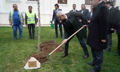 Bakan Uraloğlu Bilecik’te çınar fidanı dikti