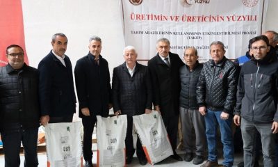 Ayçiçeği tohumu dağıtıldı