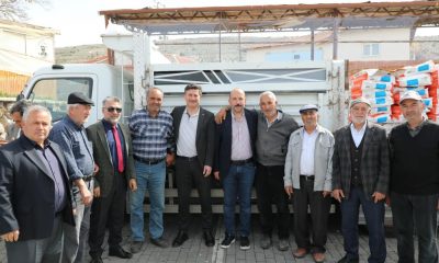 Seyitgazi’de ayçiçeği üretimi artıyor