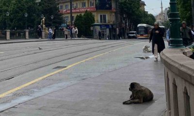 Sabah etkili olan yağmur kent merkezinin boş kalmasına sebep oldu