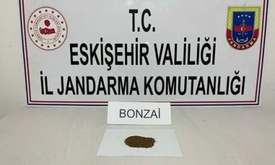 Jandarma operasyonlarında 12 gram uyuşturucu madde ele geçirildi