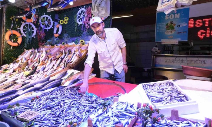 Taze balıklar geliyor, ancak fiyatlar yükseldi