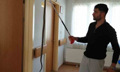 Bilecik’te sağlık ocağına giren yılan panik yaşattı