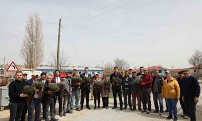 Eskişehir’de atıl tarım arazileri 590 bin lavanta ile renkleniyor