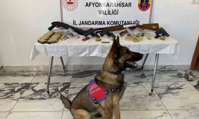 Beldeyi savaş meydanına çeviren şahıslara jandarma ‘dur’ dedi