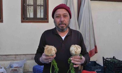 Faydaları saymakla bitmeyen kerevize pazarda ilgi yoğun