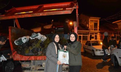 Emet’te halka fidan dağıtımı ve helva ikramı