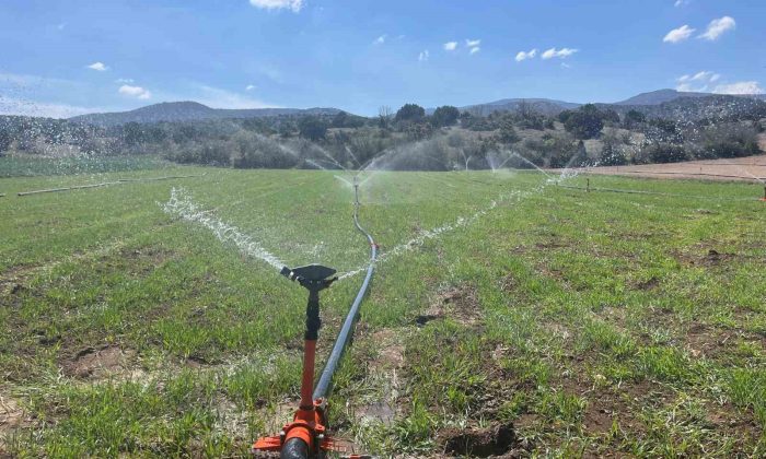 Çiftçiler yağmur yağmadığı için tarlalarını sulamaya başladı