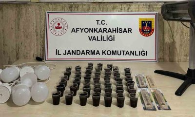Silahlı vurulan şahsın evinde kenevir yetiştirmeye çalıştığı ortaya çıktı